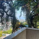 Terra Do Nunca